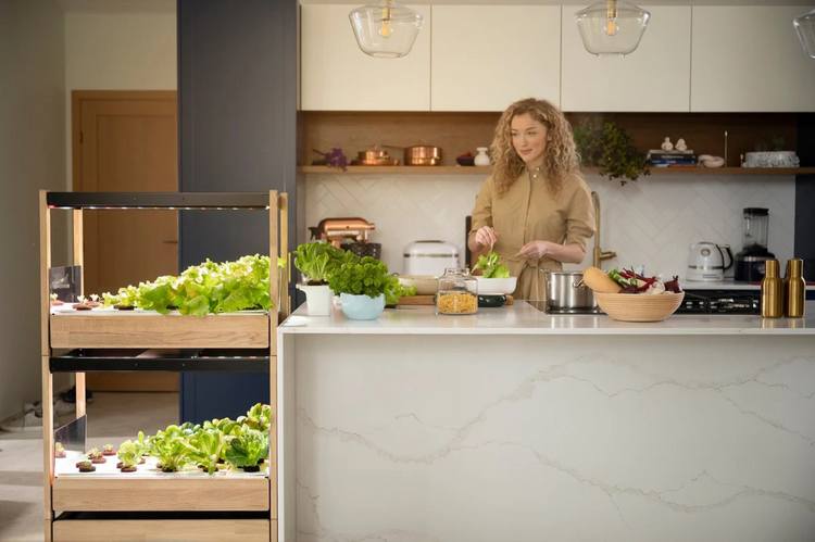 Click & Grow Smart Garden med urter og salater som vokser under LED-vekstlys på kjøkkenbenk