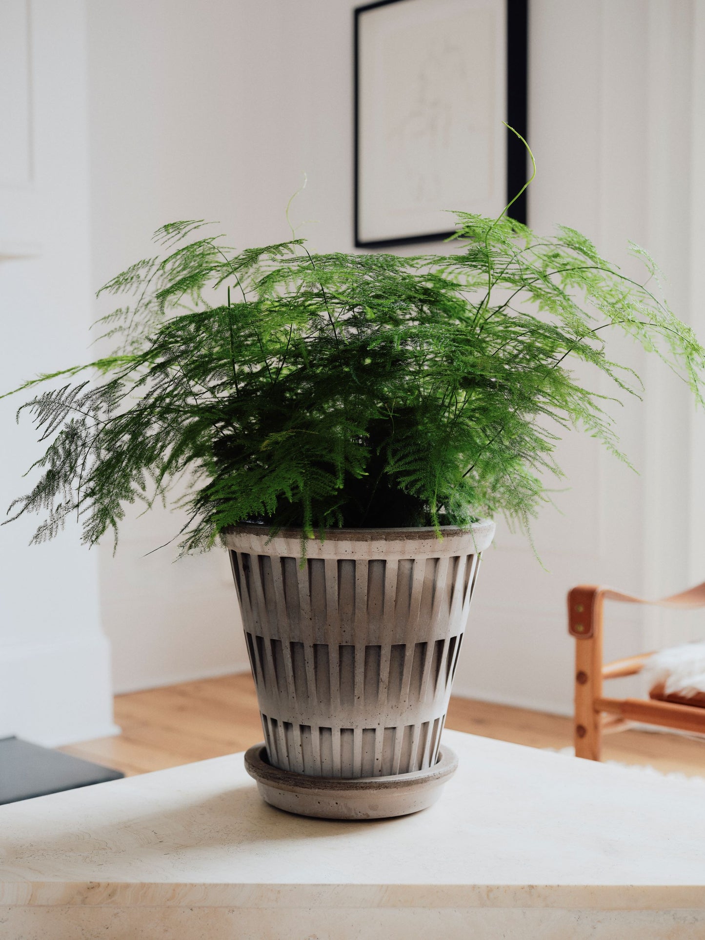 Blomsterpotte Pantheon fra Bergs Potter i RAW Grå med diameter 12cm