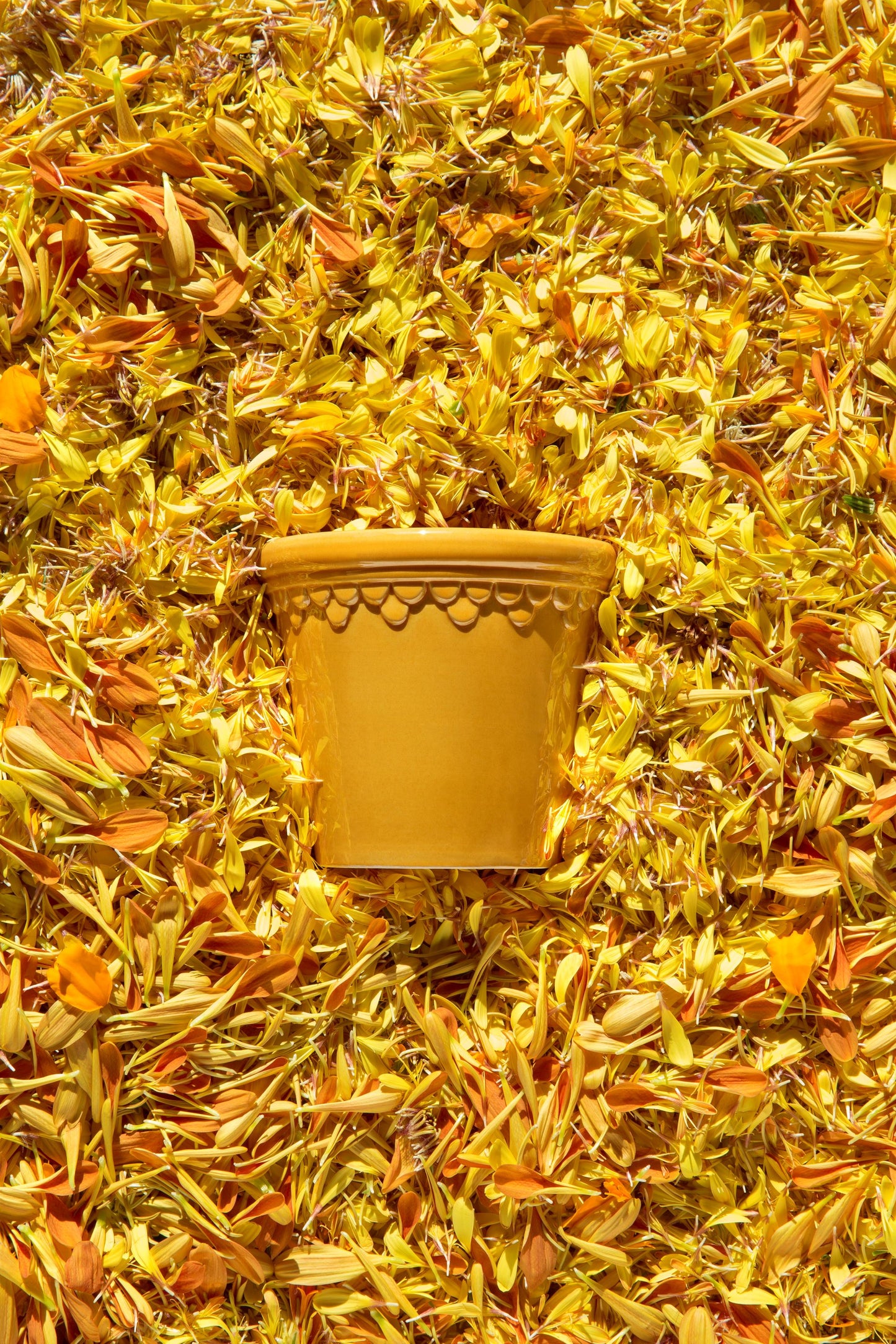 Københavner Blomsterpotte i glasert gul med en diameter på 21cm