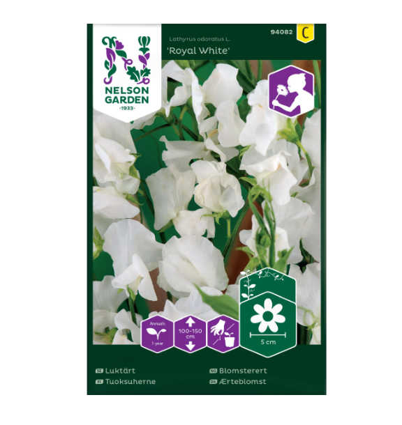 Frø til planting av Blomsterert 'Royal White'