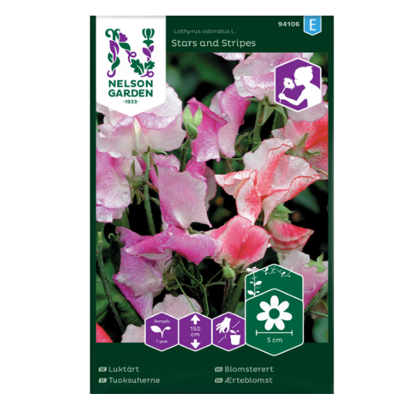 Frø til dyrking av blomsterert i ulike nyanser av rosa og lilla