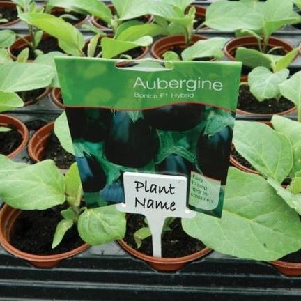 Stikketiketter / Planteetiketter, hvit 10 stk