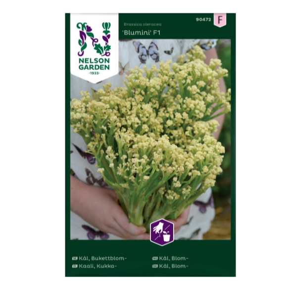 Frø til dyrking av blomkål blumini