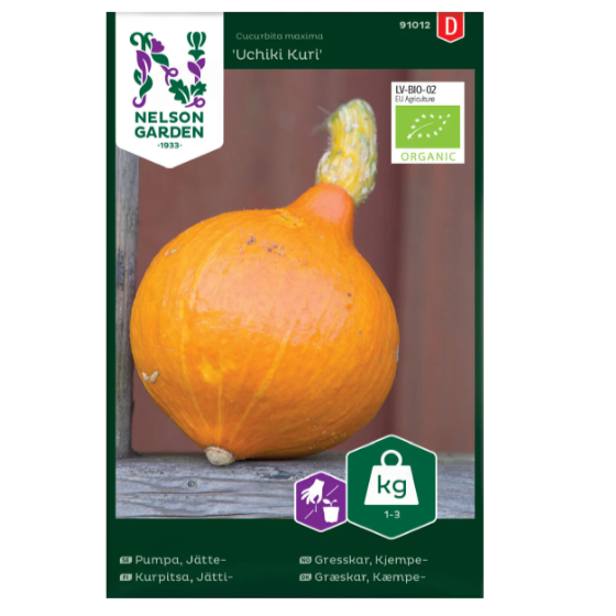 Frø til Gresskar 'Uchiki Kuri'