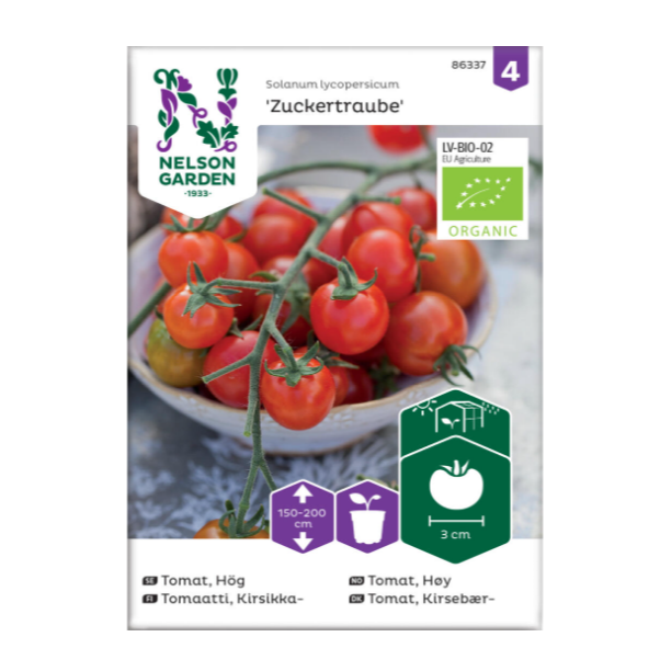 Økologiske tomatfrø av sorten 'Zuckertraube' som blir 150-200 cm høy