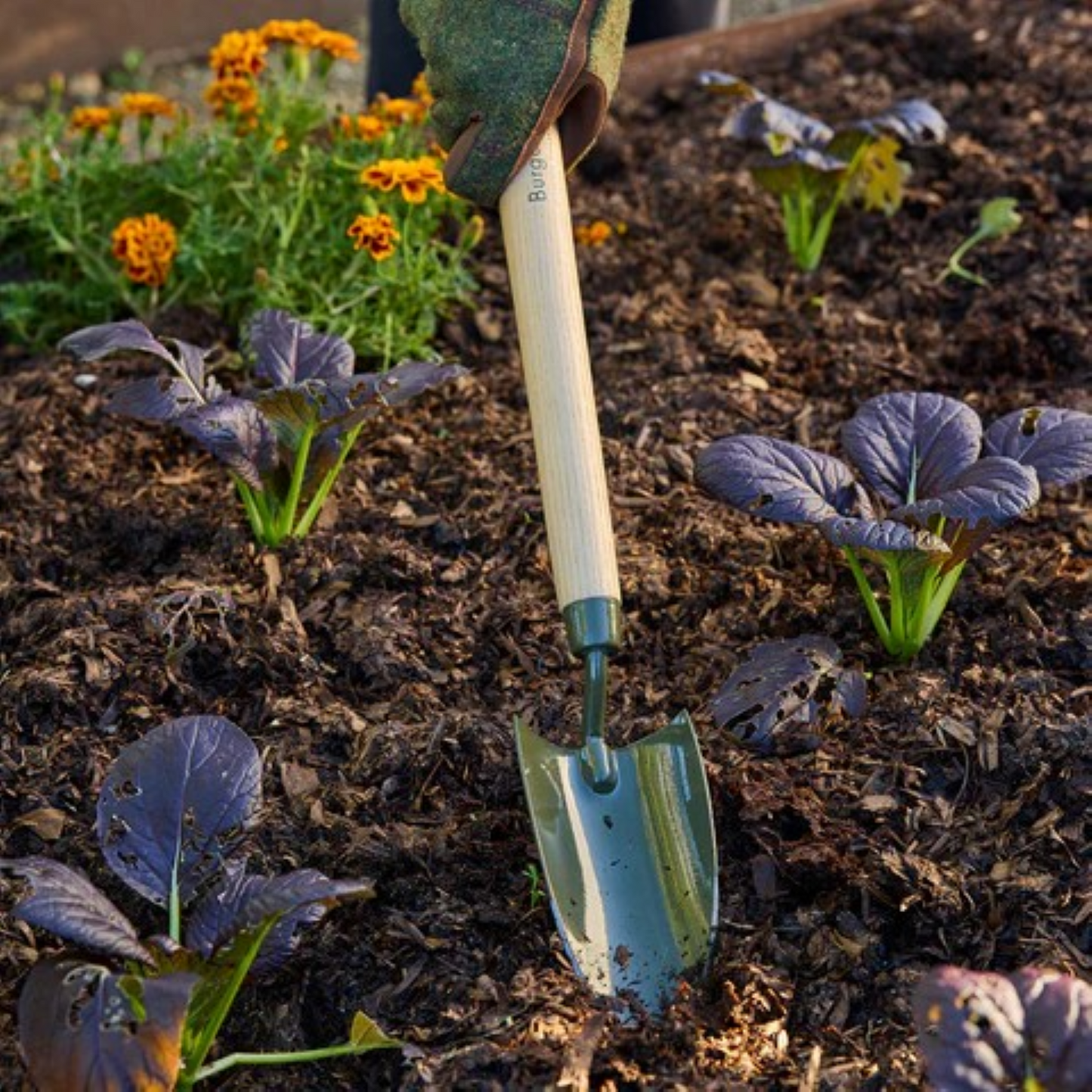 BoronGreen håndspade med langt treskaft og grønt borstålblad – ideell for planting i høybed og trange bed, 47 cm lang