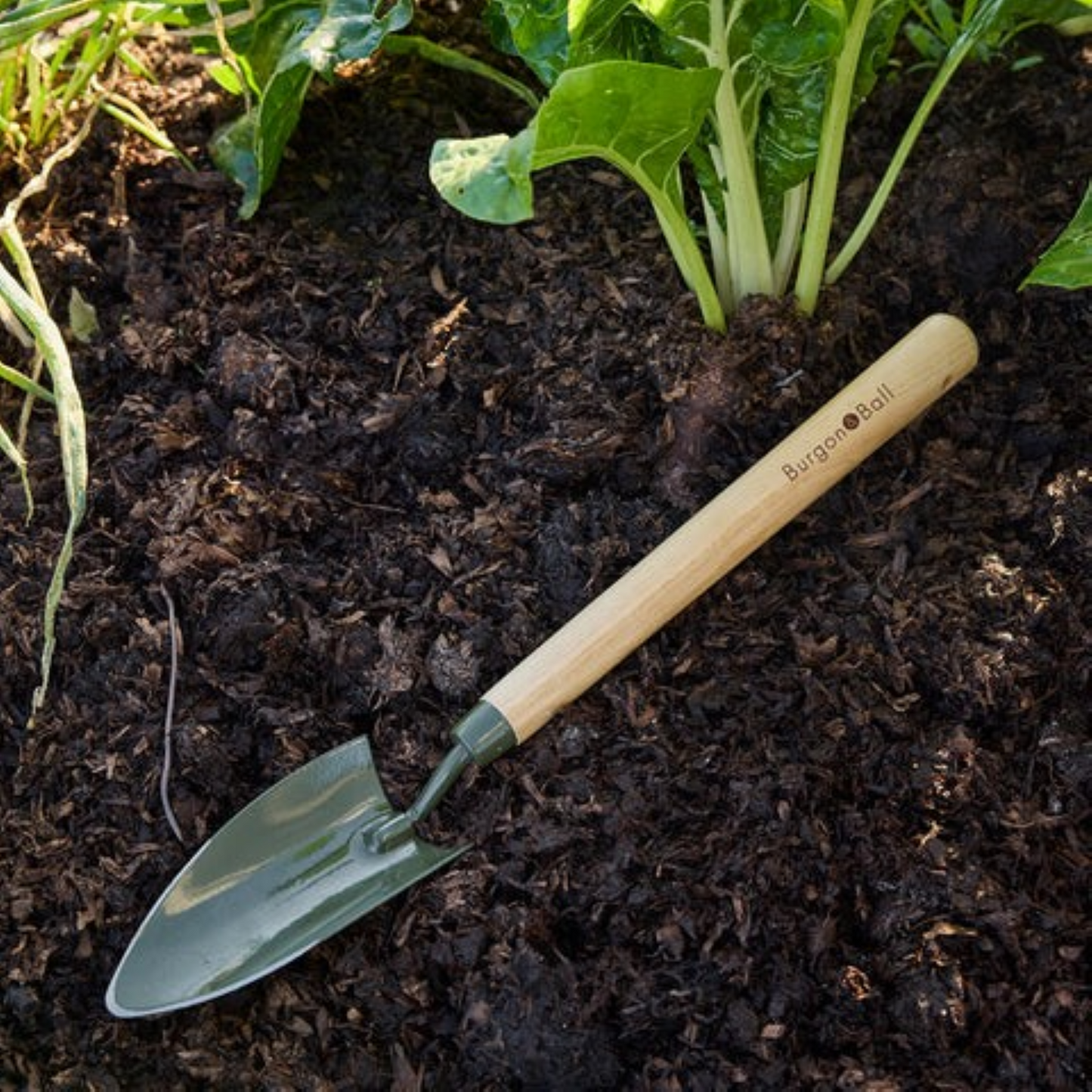 BoronGreen håndspade med langt treskaft og grønt borstålblad – ideell for planting i høybed og trange bed, 47 cm lang