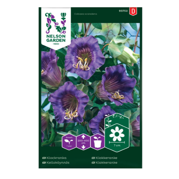 Frø til å så blå klokkeranke