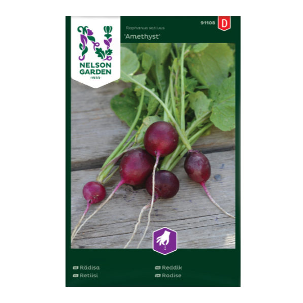Frø til dyrking av den lilla reddiksorten 'amethyst'