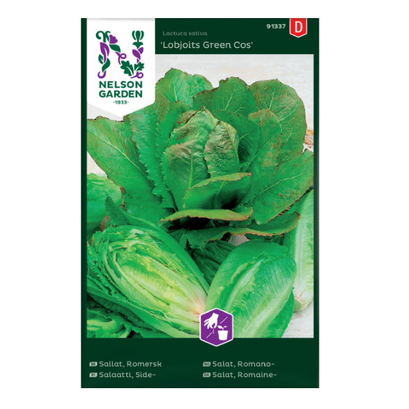 Frø til kultivering av Romanosalat