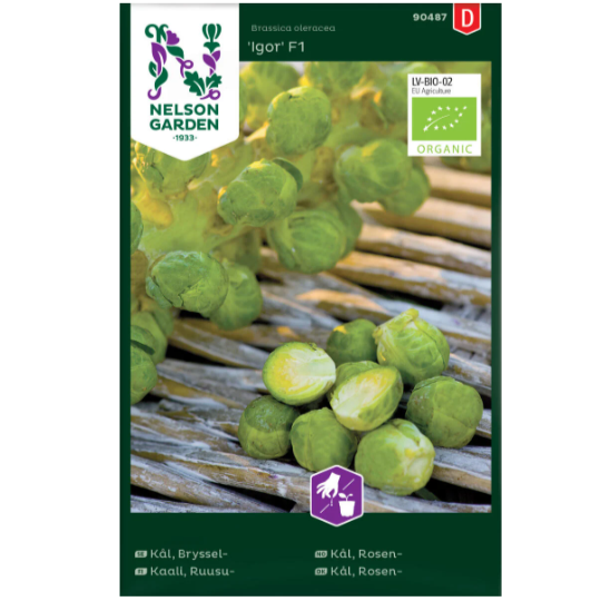 Frø til dyrking av rosenkål 'Igor' F1