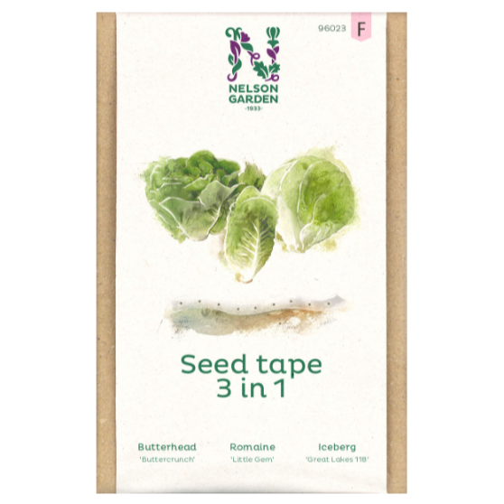 Såbånd med salat i kombinasjonen av hodesalat ’Buttercrunch’, isbergsalat ’Great Lakes’ og romanosalat ’Little Gem’