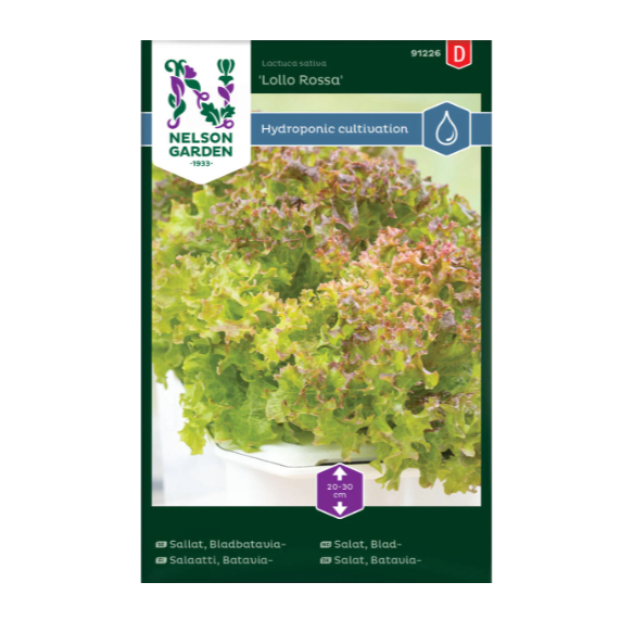 Frø til dyrking av salat, både utendørs og hydroponisk