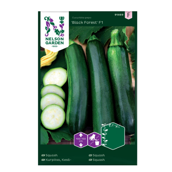 Frø til Klatrende Sommersquash – Enkel å Høste og Plassbesparende