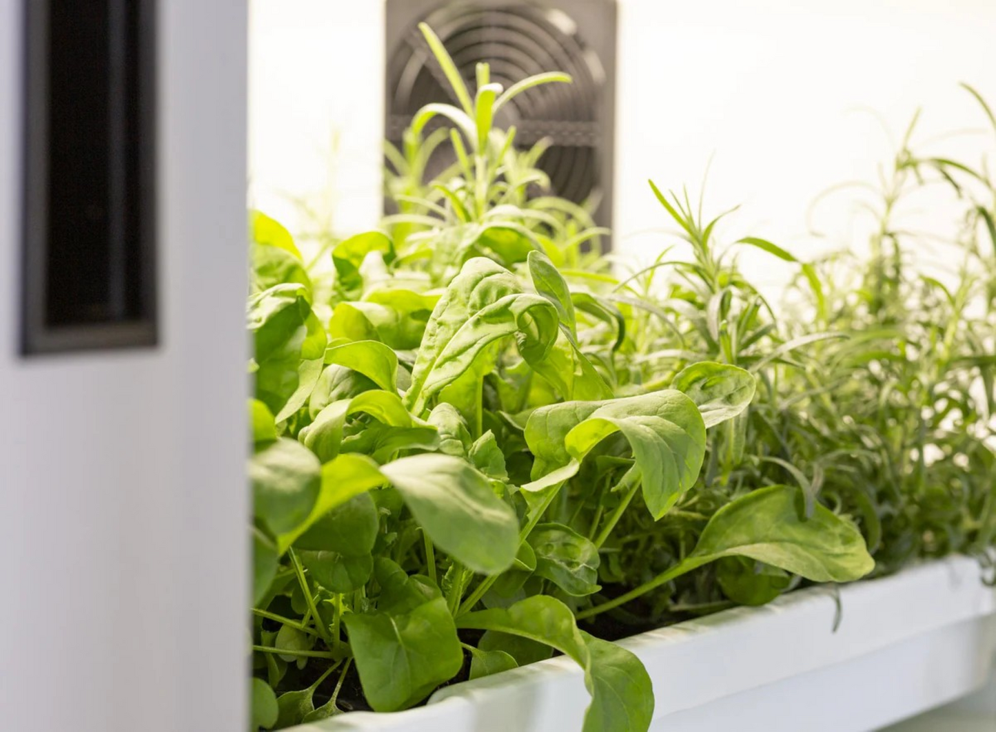 Urban Cultivator Commercial – Innendørs kjøkkenhage for profesjonelle kjøkken