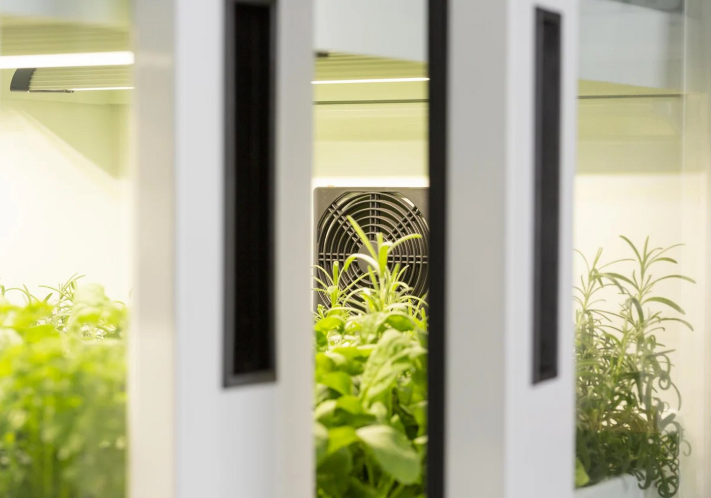 Urban Cultivator Commercial – Innendørs kjøkkenhage for profesjonelle kjøkken