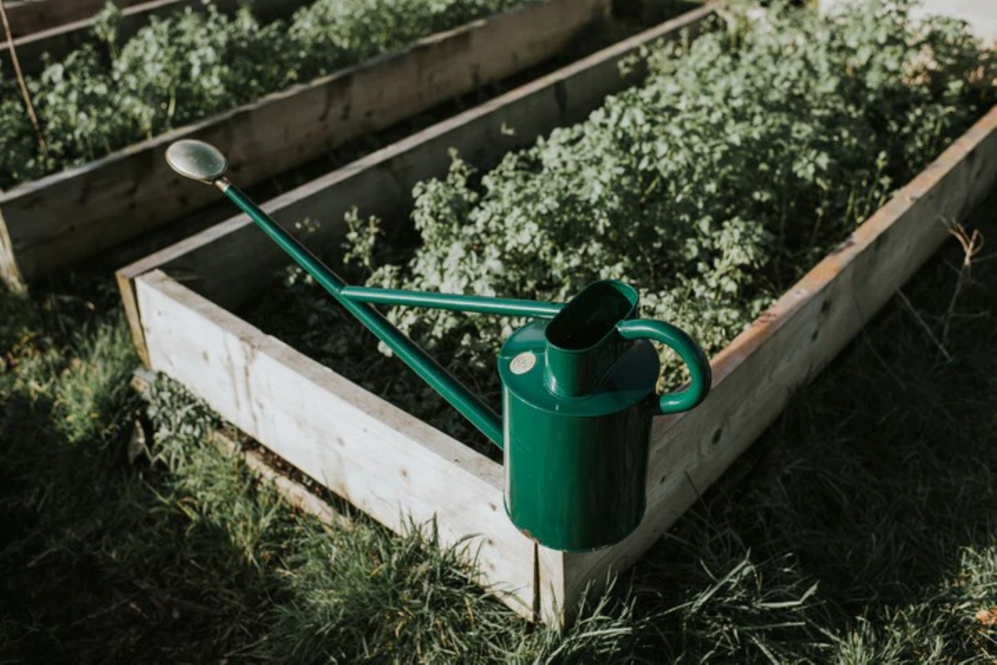 Haws - The Warley Fall Green vannkanne i pulverlakkert stål med messingrose og lang tut – 4,5 liter, ideell for ampler og hageplanter