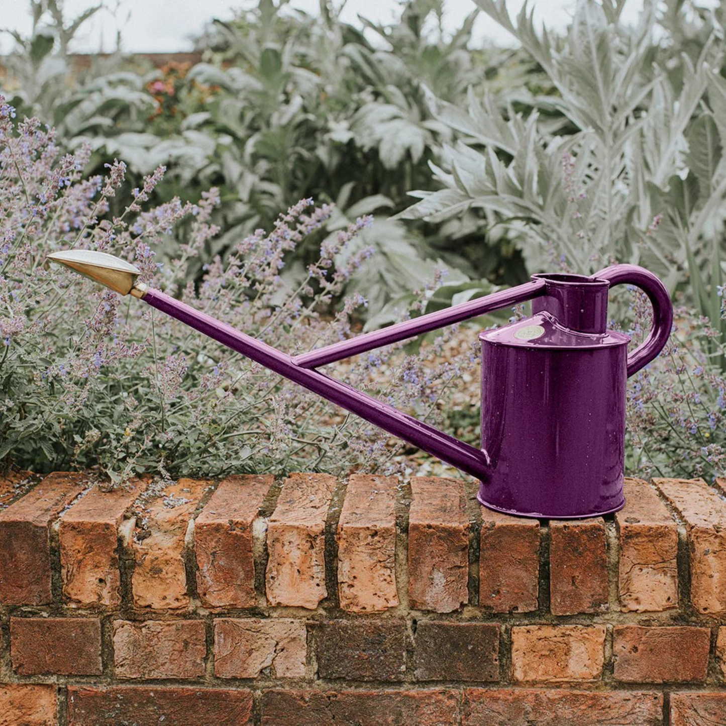 The Warley Fall HDG varmgalvanisert stålvannkanne med lang tut og spraybedding-rose