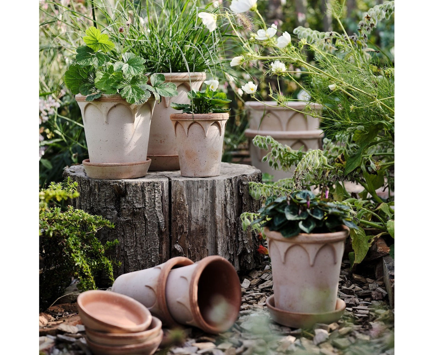 Elizabeth krukke 25 cm fra Bergs Potter med grønne planter – dekorative terrakottakrukker for inne og ute