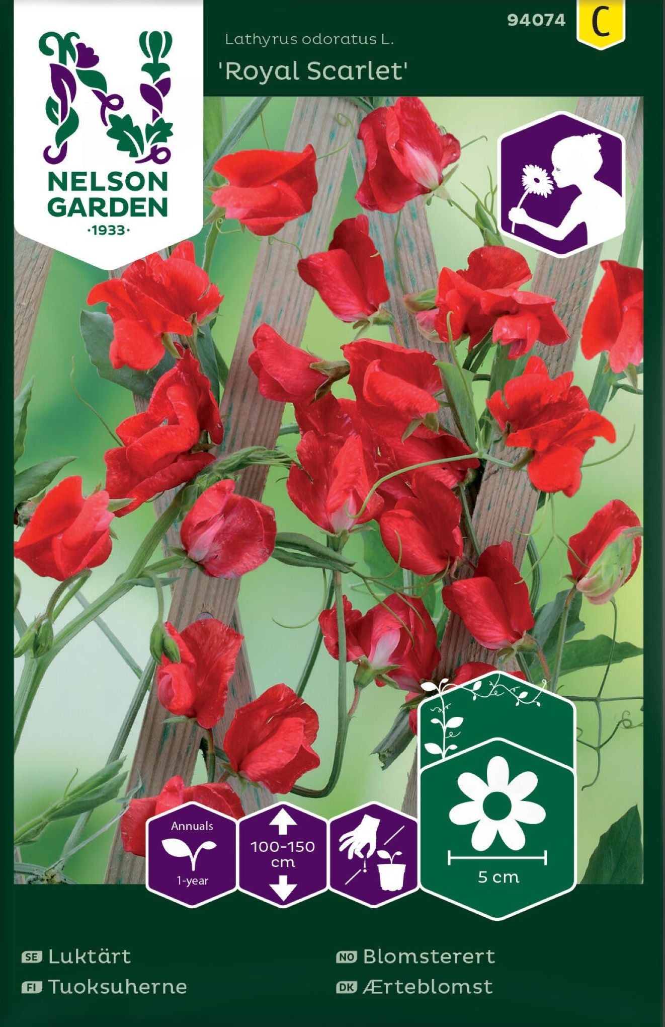 Blomsterert ‘Royal Scarlet’ med røde, duftende blomster