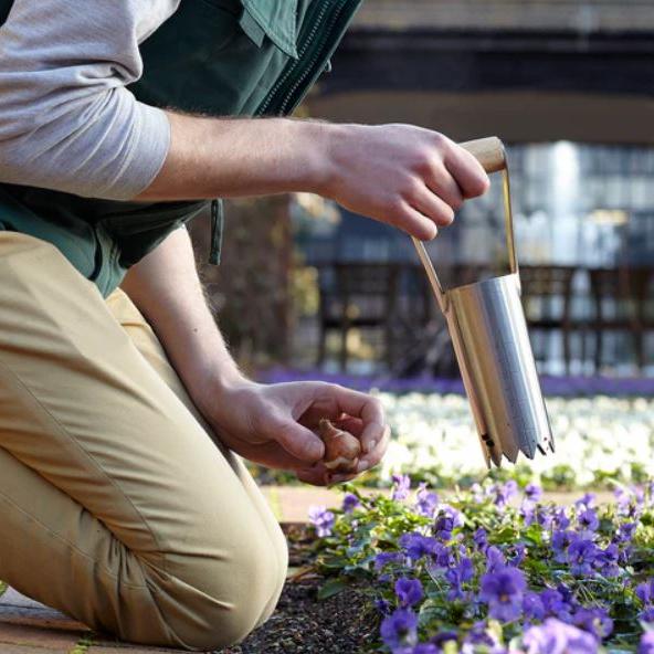 Løkplanter, Livstidsgaranti