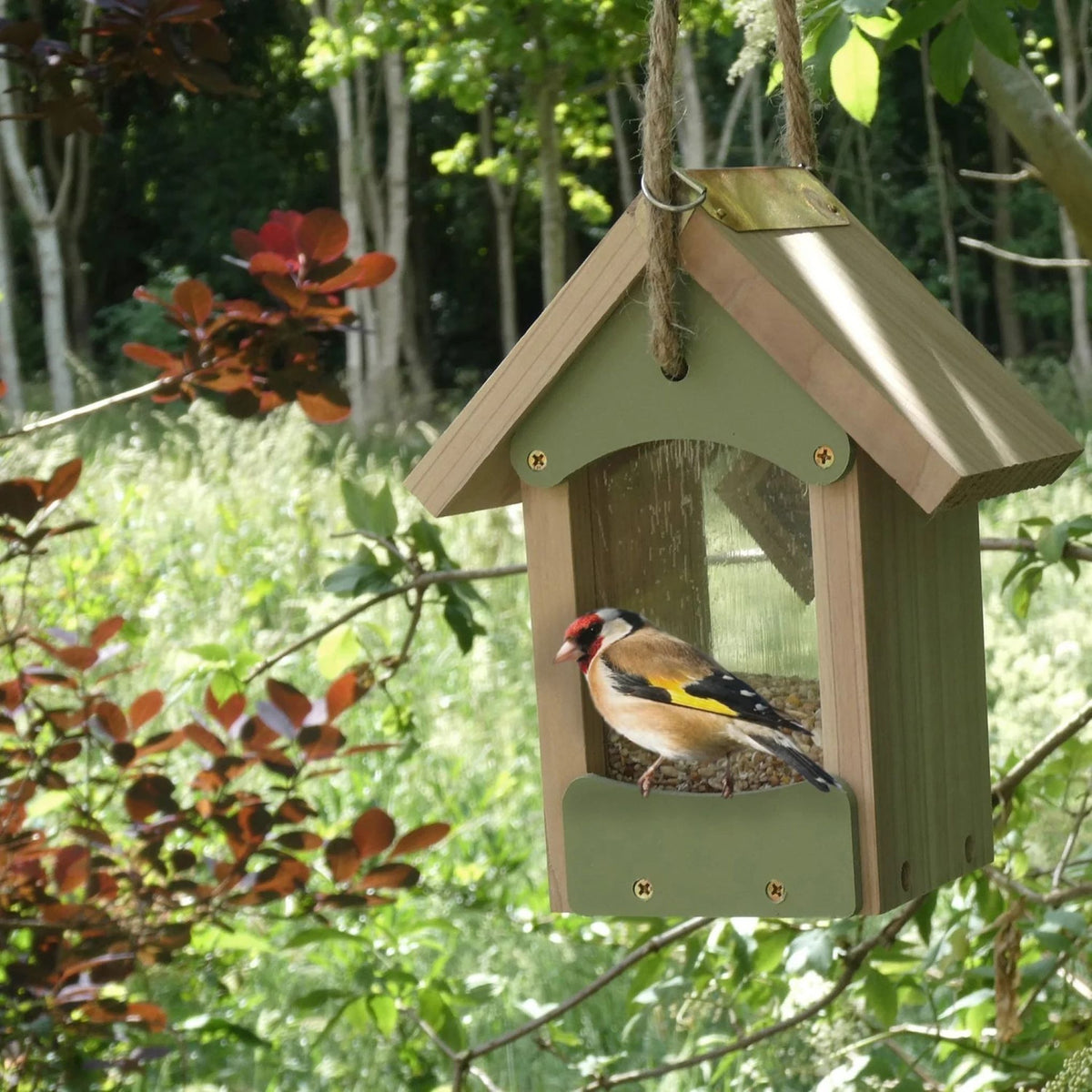 Bird Barn fuglemater i naturtre og grønt