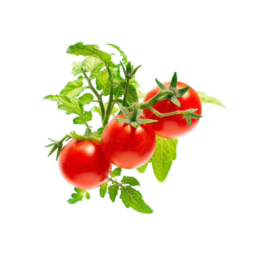Click & Grow Smart Garden Refill 3-pack – Minitomat