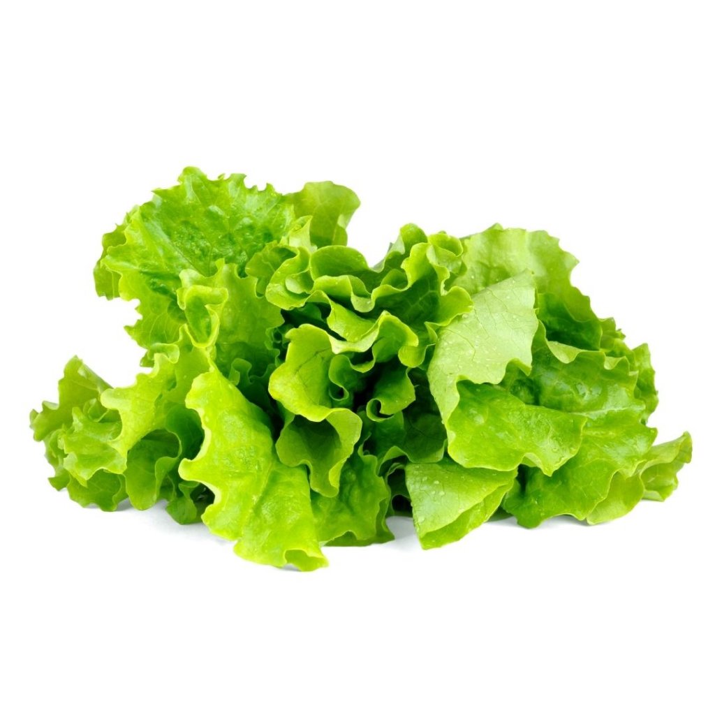 Click & Grow Smart Garden Refill 3-pack – Bladsalat