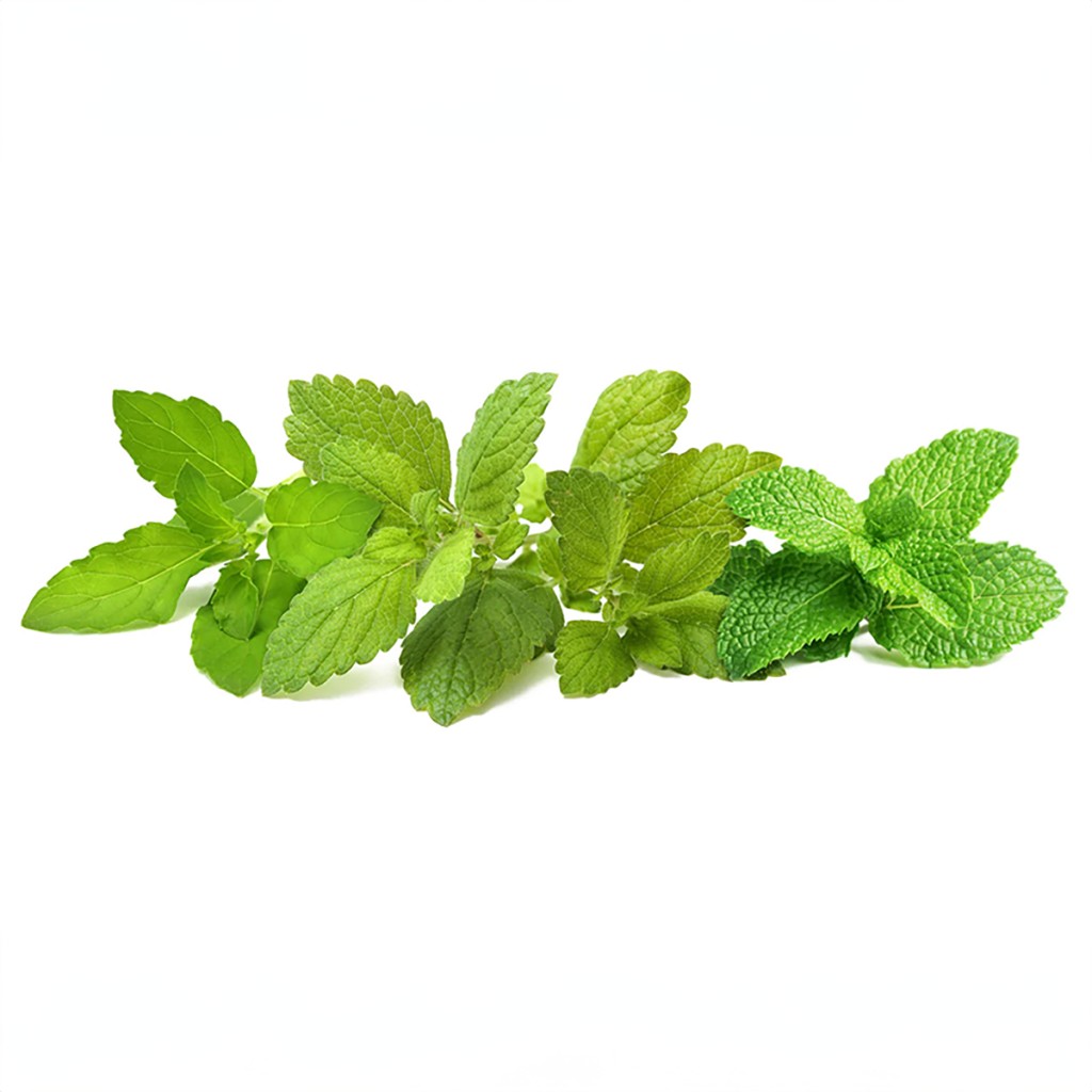 Click & Grow Smart Garden Refill 9-pack – Calming Tea Mix