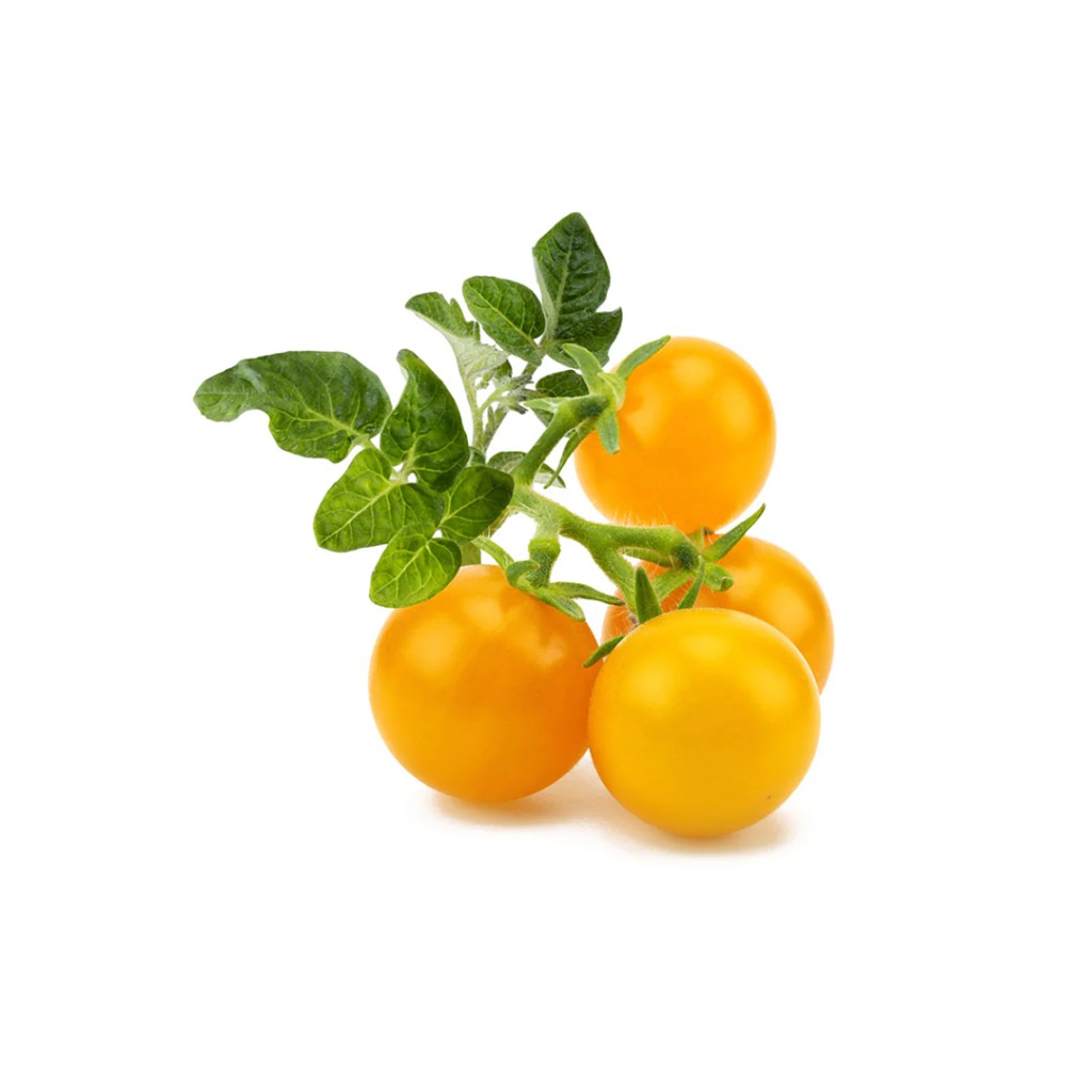 Click & Grow Smart Garden Refill 3-pack – Gul Minitomat