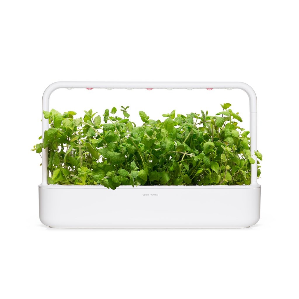 Click & Grow Smart Garden Refill 3-pack – Eplemynte
