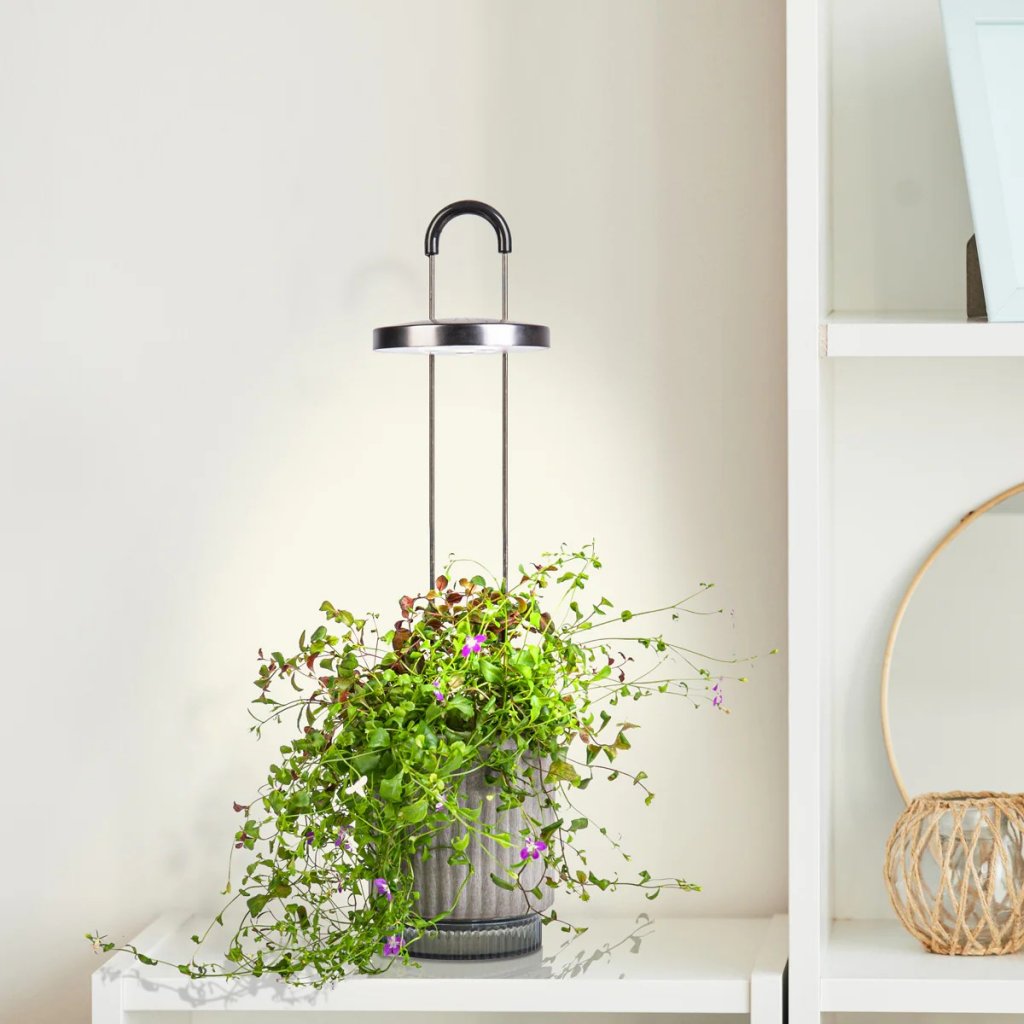 Click & Grow HydroVase – Innendørsdyrking med stil