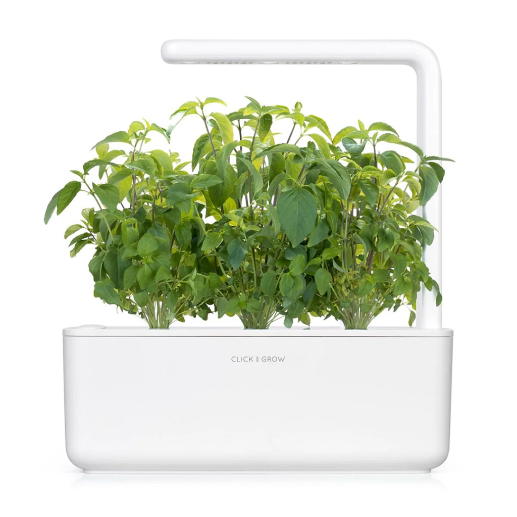 Click & Grow Smart Garden Refill 3-pack – Thai Basil