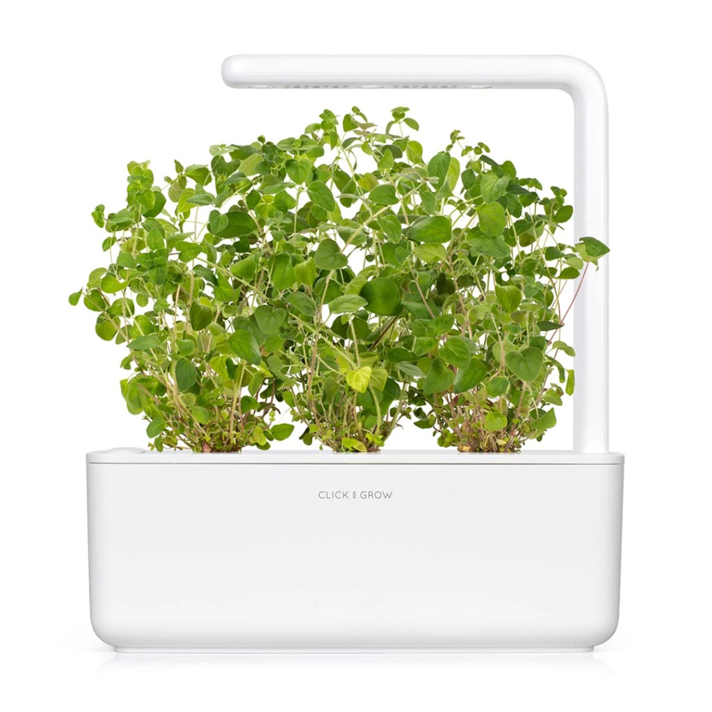 Click & Grow Smart Garden Refill 3-pack – Oregano