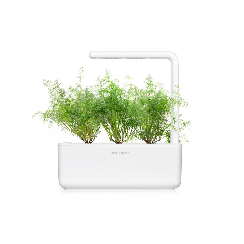 Click & Grow Smart Garden Refill 3-pack – Dill