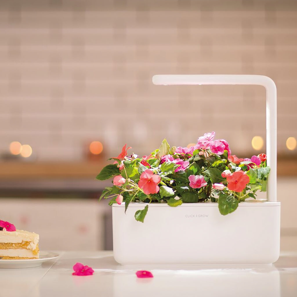 Click and Grow Smart Garden 3 – Startkit