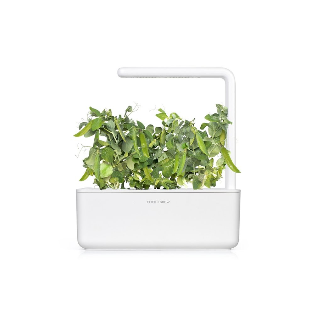 Click & Grow Smart Garden Refill 3-pack – Dvergerter