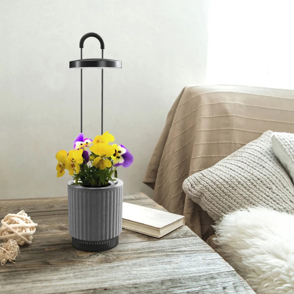 Click & Grow HydroVase – Innendørsdyrking med stil