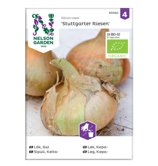 Økologiske frø til dyrking av løk