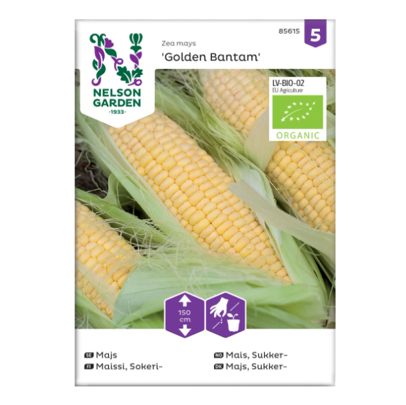 Økologiske frø for dyrking av mais