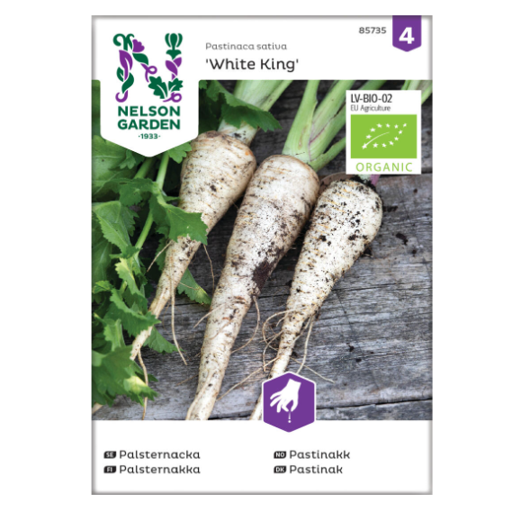 Økologiske frø for dyrking av pastinakk