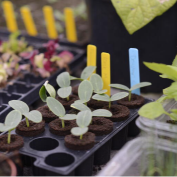 Stikketikett av plast