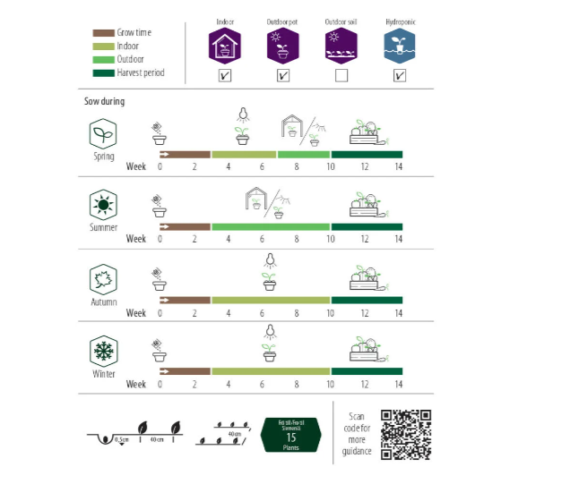 Vanlig tomat 'Balkonzauber'