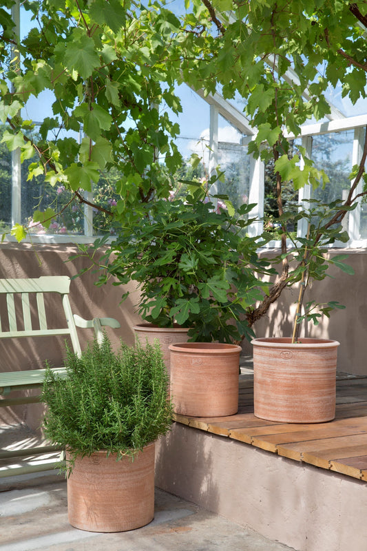 Plante i store utekrukker fra Bergs Potter