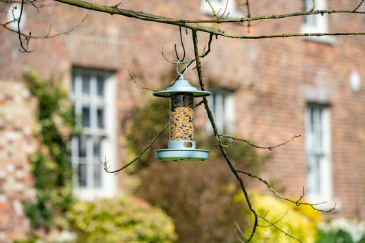 Hagearbeid i November: 7 Ting Du Kan Gjøre I Hagen Nå