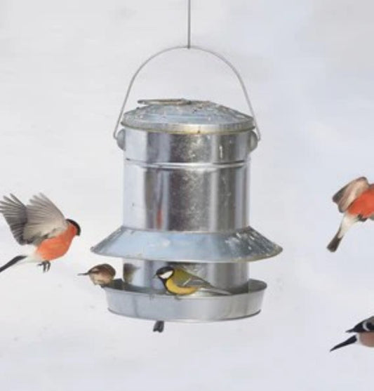 Mating av fugler i desember