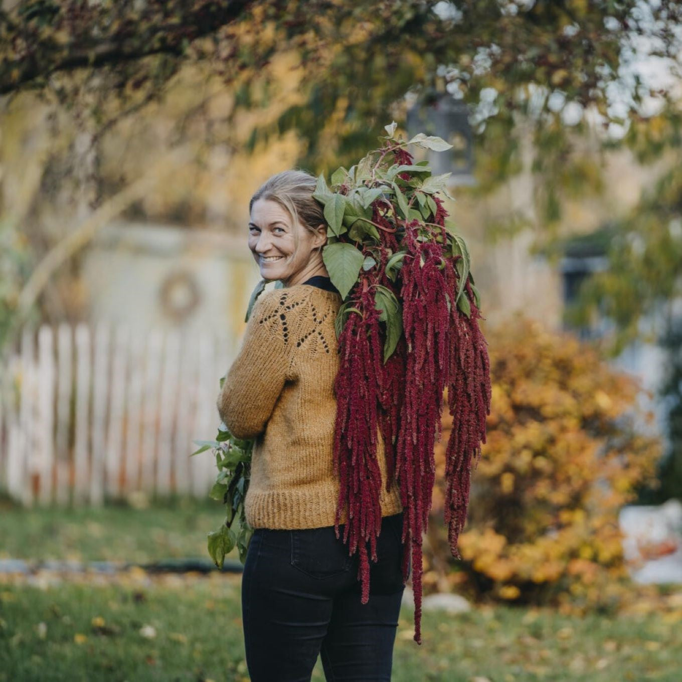 Blomsterfrø til kultivering