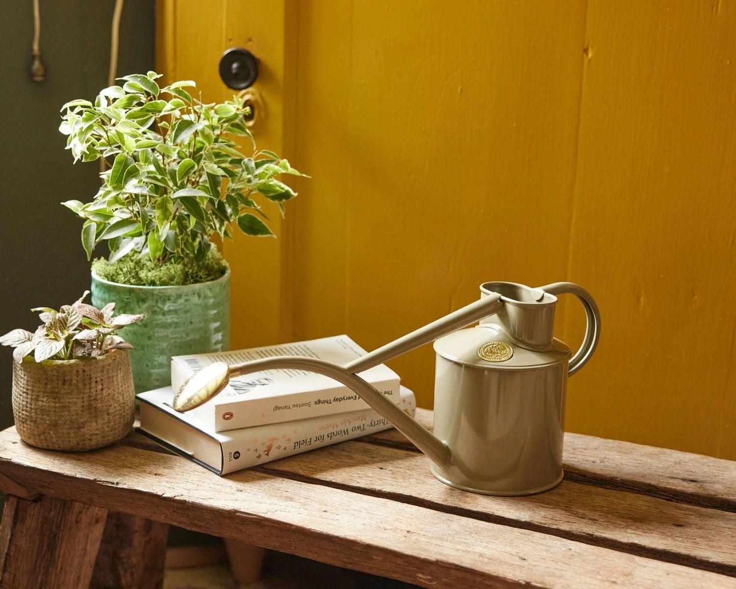 Elegant vannkanne brukt til vanning av grønne stueplanter innendørs