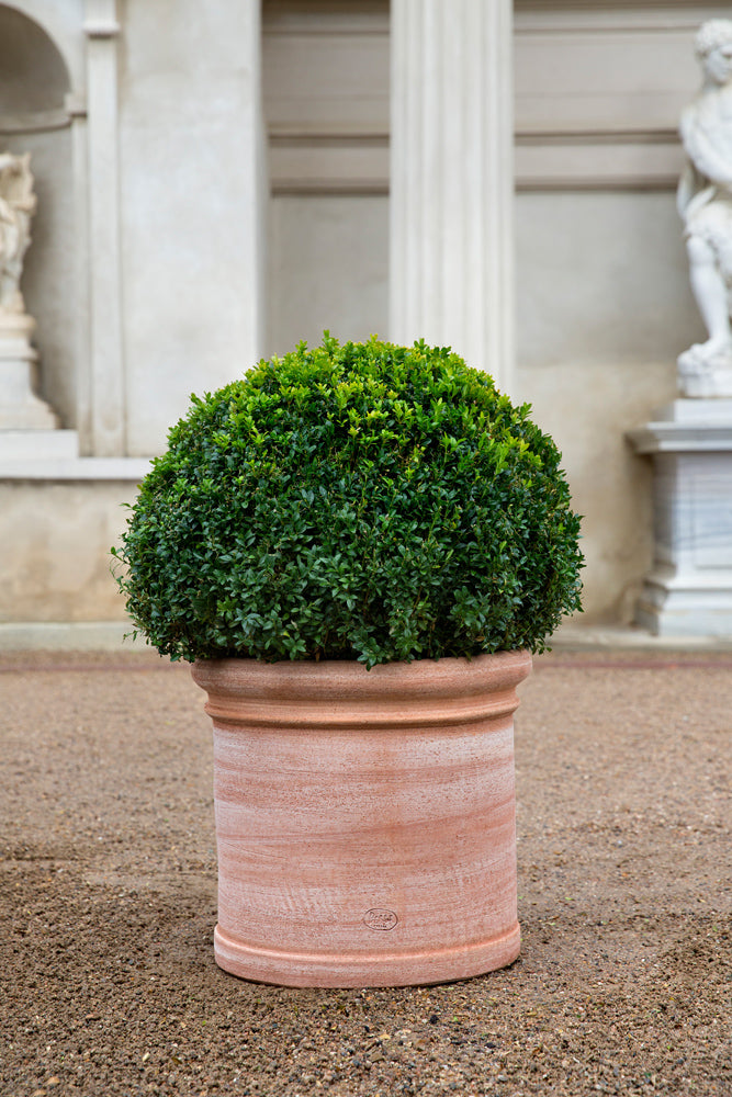 Cilindro Rosa Terrakottakrukke Ø62–72 cm – Håndlaget i Italia
