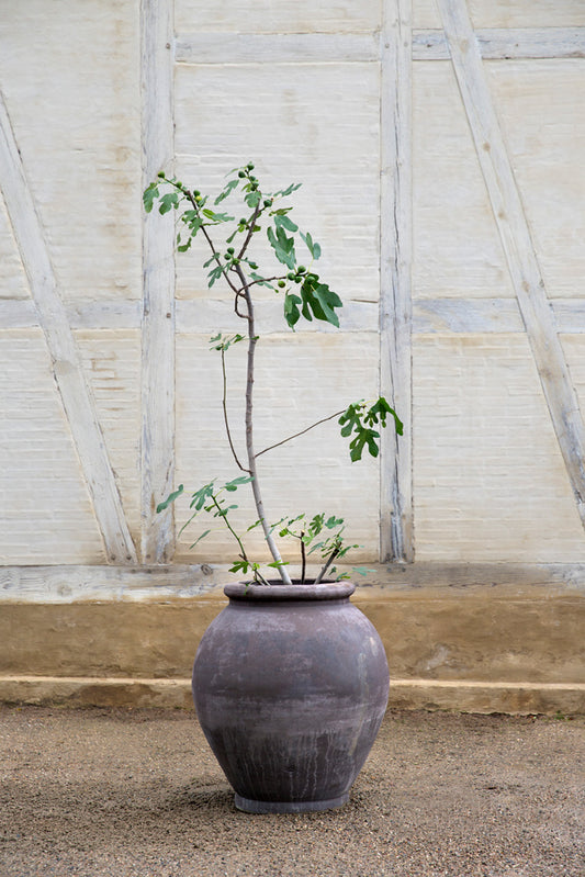 Olivia-krukke Ø54 x H60 cm – Elegant terrakotta i kompakt størrelse